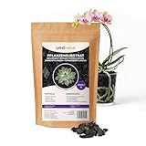 GanzHaus Orchideensubstrat Bodenaktivator Charcoal Substrat - Aktivkohle für Orchideenerde Sukkulentenerde Bonsaierde Blumenerde Zimmerpflanzen Terrarium Pflanzen | Drainage Kohle (3 L)