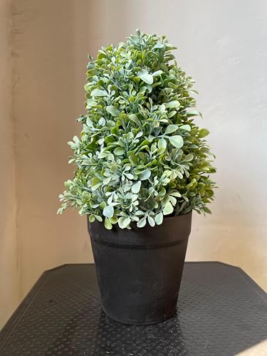 Image of Artificial Realistic Round Leaves Bonsai Potted Plant for Home Office Kitchen Living Room Hotel Restorent Table Corner Center Piece | Natural Look | Show Piece | 36 cm