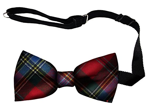Noeud papillon en laine MacLean of Duart tissé en Écosse
