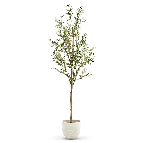 MAIA SHOP Olivo Artificial Minimal 180 cm - Árbol Artificial Interior con Tronco Natural y Aceitunas - Planta Artificial Realista para Hogar Salón Recibidor Oficina - Maceta Negra Incluida