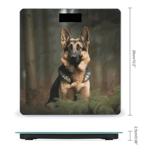 Báscula digital para baño con vidrio templado y pantalla LCD miniatura 2