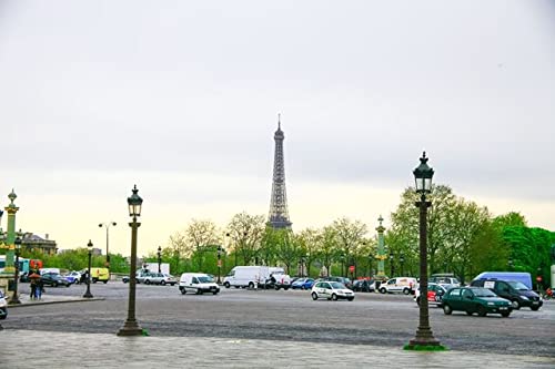 �y�t�����X�̕��i�|�X�g�J�[�h�z�G�b�t�F�����̂���p���̌i�F�����2008�N1�̂͂����n�K�L�t��