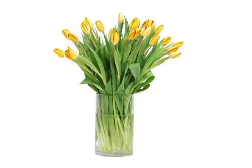 Image of KaBloom-30 Yellow Tulip Bouquet,Flowers for Valentine, Mother's Day