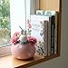 Miffy Peek-A-Bloom Planter, Pink, 6.625