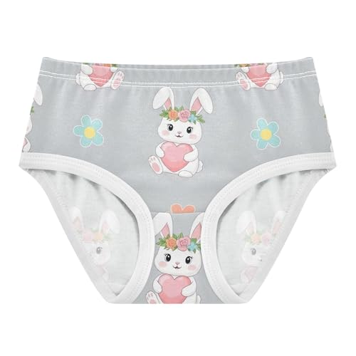 Toddlers Underwear Floral 2t Cotton Girl Panties Cute Stylish Kids Briefs Undies Cute Bunnies Floral Crowns Rabbits