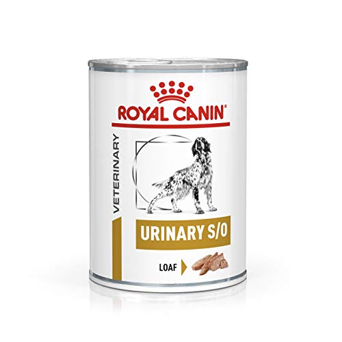 Royal Canin Urinary S/O Wet Dog Food Cans 12 x 410g