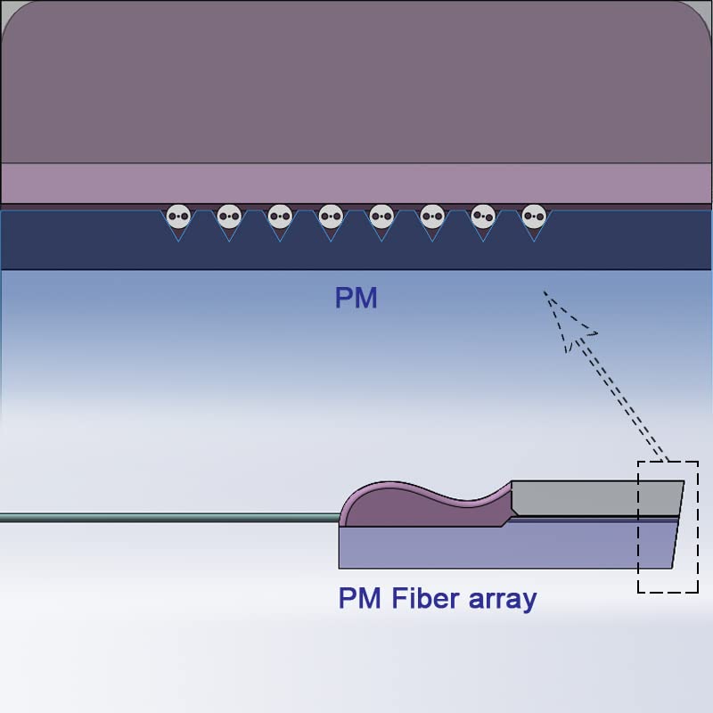 Custom high Precision 125um Polarization-maintaining PMF PM Fiber Array Unit