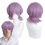 Peluca Kpop 'Demon Slayers', Peluca de Anime para Cosplay. Perfecta para fiestas, uso diario, festivales y Halloween. Ideal para televisión, cine y cosplay de videojuegos. (Purple male short)