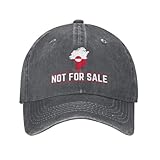 ACEPrints Casquette de Baseball « Le Groenland est à Vendre » (Style Camionneur)