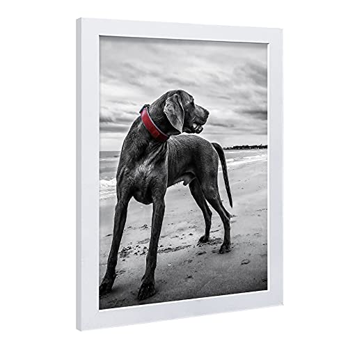 Image of VCK 18x24 Poster Frame Solid Wood White 3 Pack Picture Frames 18 x 24 Inches with Wall Mounting Hanging