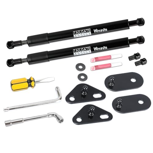 Winunite Pack of 2 Compatible with 2015-2026 F150 Tailgate Assist 1045 Steel Material Quiet Controlled Descent No Drill Bolt-On Installation with All Tools Included
