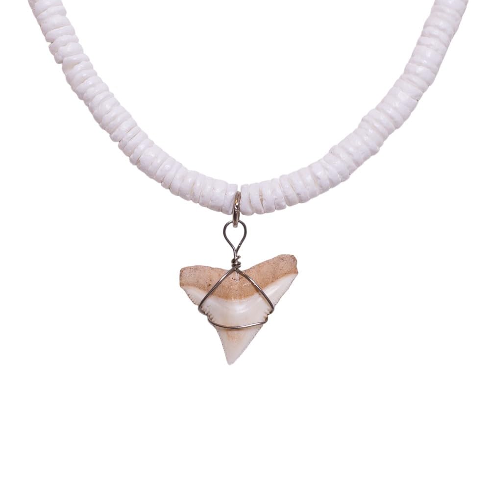 Shark Tooth ciondolo su collana nero Puka conchiglie con perline in metallo (2S Shark Tooth)