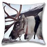 Housse de coussin motif renne norvégien Rangifer Tarandus pour canapé, chaise, lit, voiture, décoration d'intérieur, cadeau