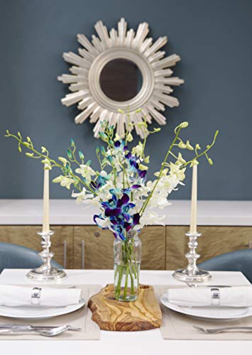 Image of KaBloom PRIME NEXT DAY DELIVERY - Fall Collection - Starry Night in the Tropics Bouquet of Blue and White Orchids.Gift for Birthday, Anniversary, Thank You, Valentine, Mother's Day Fresh Flowers