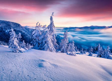 adrium Cuadro de aluminio compuesto de 40 x 30 cm: magnífico invierno amanecer en montañas de los Cárpatos con abetos nevados. Escena al aire libre, feliz año nuevo (89424452)