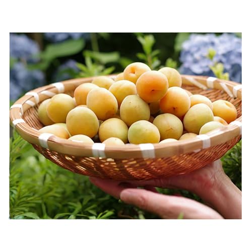 杉田梅の白梅干と赤梅干のセット 1個