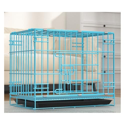 GEGEBOMTXO LpP[W ܂ݎ Ή Eh~ eʉKQ[W ȃfUC hAt p |ȒP O\ȃybgpi LEh~t 肵ňS (u[ig[+{E+tbgXg+Ȃ̑