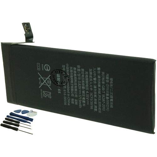 Otech Batteria Compatibile per Apple iPhone 6S