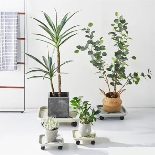 Panier à plantes robuste pour déplacer vos grands pots sans rayer le sol