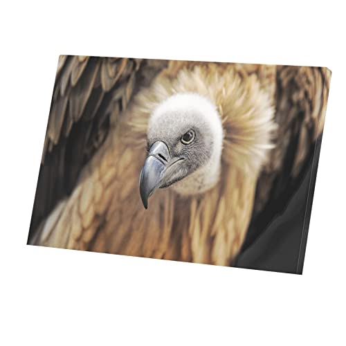 Tableau Vautour Fauve Grand Format Toile Oiseau Déco Murale Salon Chambre Cadre Nature