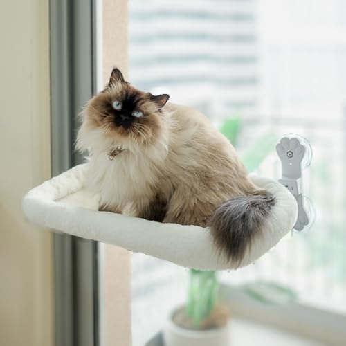 Buddy Day Cordless Cat Window Perch with 4 Suction Cups, Sturdy & Soft Cat Window Hammock, One-Tap Fold Up Cat Window Seat, Great for Indoor Cats, Soft Reversible Cushion, Can Hold Weight Upto 40lbs