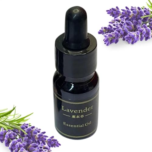 ICfBt[U[  | Ԃ̒ʋCp\bhtOX̍̃o[XeBbN | QAR[q[VbvArO[AԁAp[eB[A_CjO[p̎ԗpF