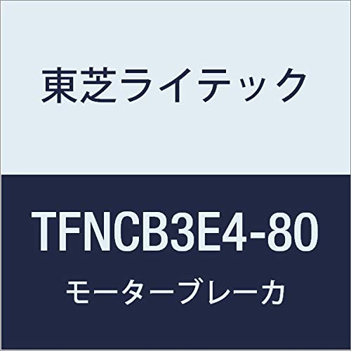 Toshiba Lightech TFNCB3E4-80 N-Series 40A 8-0 Power Distribution Board for Small Residential Use, Includes Door, Basic Type
