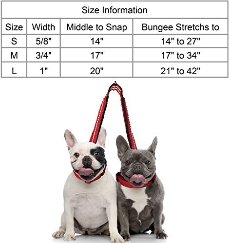 Kruz Double Dog Coupler - KZVX2-05L - Tangle Free Dog Walking and Training Dual Extension Coupler - Comfortable, Shock Absorbing - Reflective Bungee Coupler for Two Dogs - Gray - 1\" x 20\" - Thumbnail 7