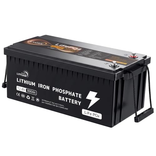 Amazon.co.jp: 【Grade-Aセル・200A BMS・5年保証】LVYUAN（リョクエン