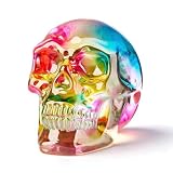 XLSJGYP Glass Model Statue for Home Décor Crystal Skull Decorations Decorative Paperweight for Women Men Halloween Head Figurine Office Indoor Decoration Gift (Multi-Color Skull)
