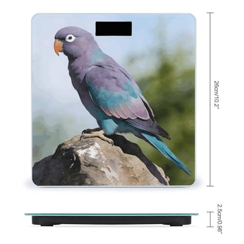 Báscula Digital Parrot Smart Body Weight para 180 kg miniatura 2
