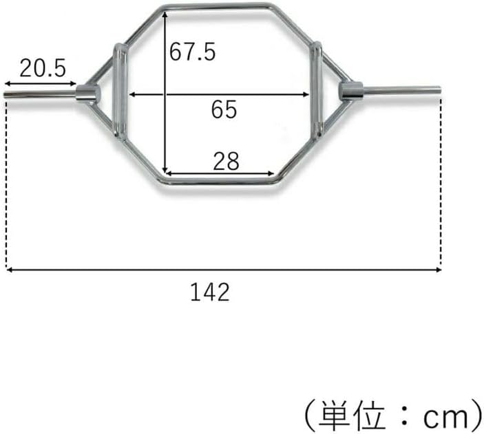bodydesign ボディデザイン　レギュラー HEXバー BODY DESIGN(ボディデザイン)レギュラーHEXバー │ デッドリフト