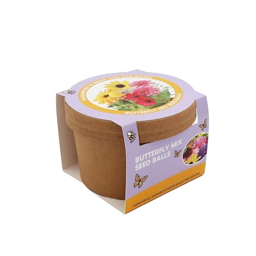BUZZY Seeds 20 Colorful Wildflower Seed Balls Toss Scatter and Grow a Garden of Bright Blooms Over 50 Seeds Per Ball Eco-Friendly Outdoor Flower Fun
