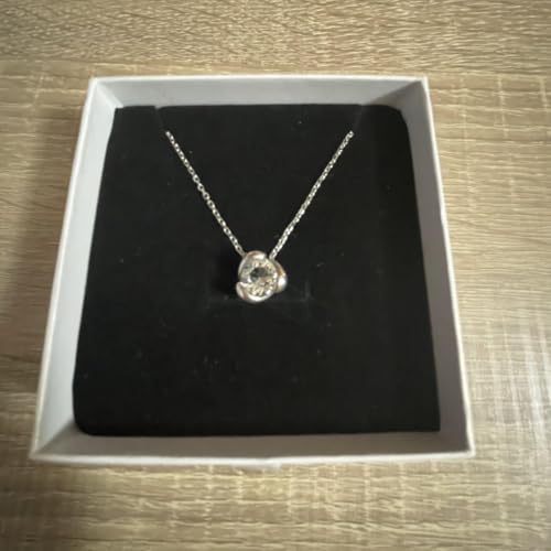 lbNX Vo[ Mtg{bNXt XtXL[ y_g NX}X