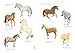 Ponies Stickers (Dover Little Activity Books: Animals)