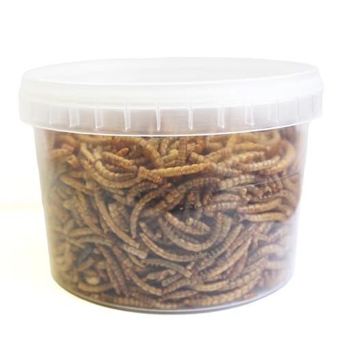 Extra Select Dried Mealworms for Wild Birds: Protein Rich Wild Bird Food for Robins to Hedgehogs - Meal Worms for Garden Birds - 500 ml - Image 4