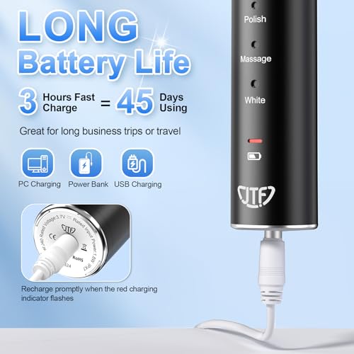 JTF Sonic Electric Toothbrush J40 の商品画像 3
