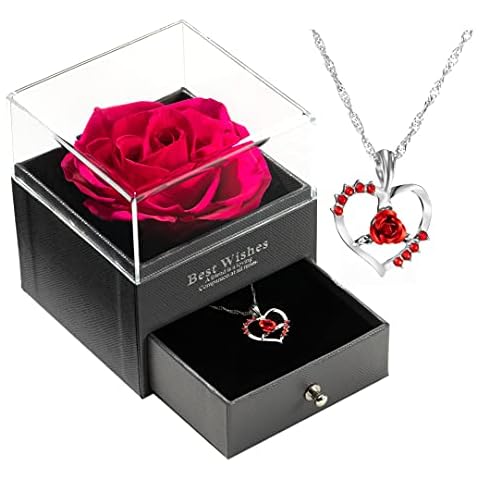 Preserved Real Rose with Silver-Tone Rose Necklace Gift Set, Enchanted Real Rose Flower for Valentine's Day Anniversary Wedding Romantic Gifts for her (Hot Pink) Cover