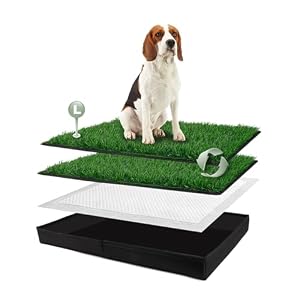 HQ4US Hunde-Grasunterlage mit faltbarer Hundetoilette