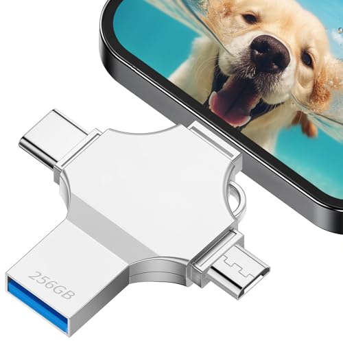 Chiavetta USB 256GB 4 in 1, Penna USB per iPhone