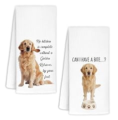 Dog-golden Retriever2