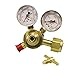 Radnor RAD64003029 Model 150-60-540 Victor Style Light-Duty Oxygen Single Stage Regulator, CGA-540
