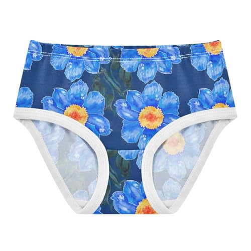 Joisal Toddler Girls Underwear 2t Cotton Little Girl Panties Fancy Briefs Undies Kids Blue Watercolor Flowers