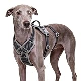 ThinkPet Flexfit 3-Strap Escape Proof Dog Harness, No Pull Front Clip 2-in-1 Vest with Control Handle, 360° Reflective Breathable Adjustable Harness for Greyhound Whippet Vizsla, X-Large, Black