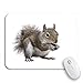 Produktbild Gaming Mouse Pad Braun Grau Junge Eichhörnchen Muscheln von Sonnenblumenkernen Rutschfeste Gummi Backing Computer Mousepad für Notebooks Maus Matten