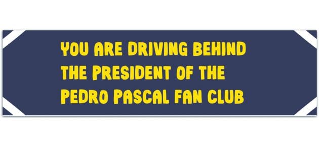 Amazon.com: Pascal Bumper Sticker Gen Z, Funny Pop Culture Gifts For ...