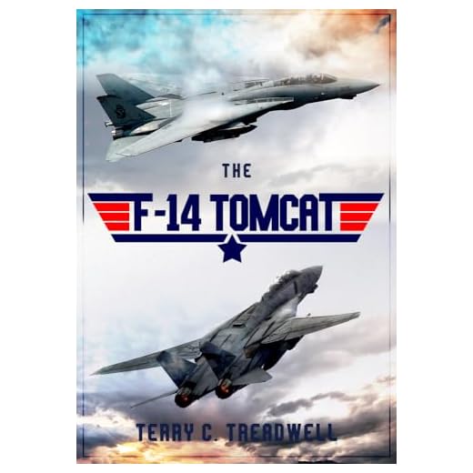 The F-14 Tomcat