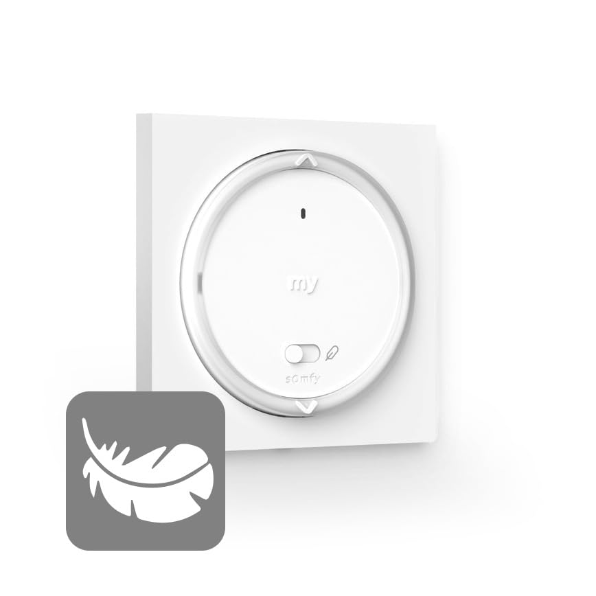 Commande Amy 1 RS100 io cadre, 1 canal io-homecontrol, capteur température intégré