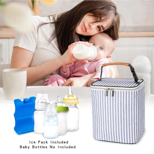 BABEYER 4-Bottle Breast Milk Cooler