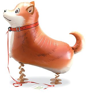 GAEH[J[o[@Ups[Č a d oYj v[g Cxg D ew001